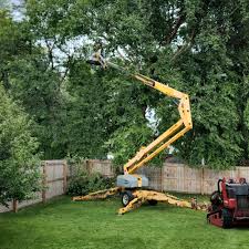 Best Utility Line Clearance  in North Lakeport, CA